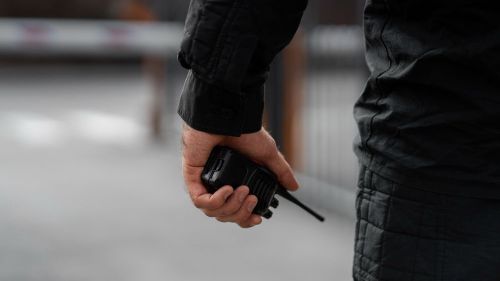 Aslan Kriminal ile Hukuki Güvenin Teminatı: Uzman Mütalaası ve İzmir'deki Yeri