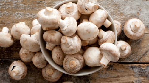 Mantarların sağlık yararları