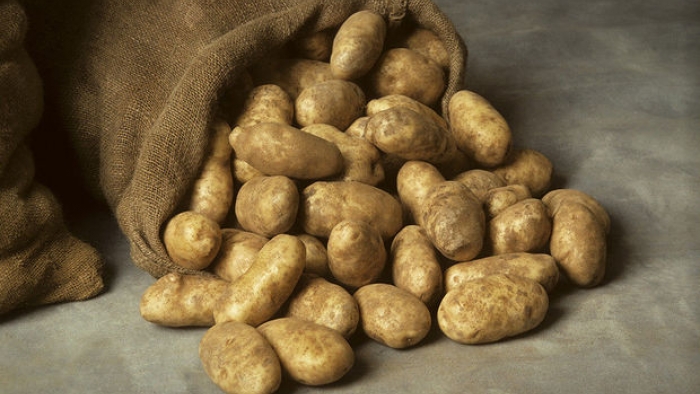 Rusya'dan en çok patates alan Azerbaycan ve Ukrayna oldu